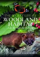 La vita segreta di un habitat boschivo: La vita attraverso le stagioni - The Secret Life of a Woodland Habitat: Life Through the Seasons