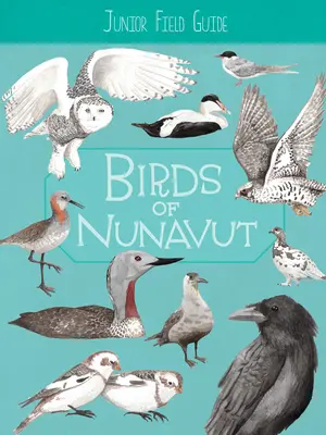 Guida da campo per ragazzi: Uccelli del Nunavut: Edizione in inglese - Junior Field Guide: Birds of Nunavut: English Edition