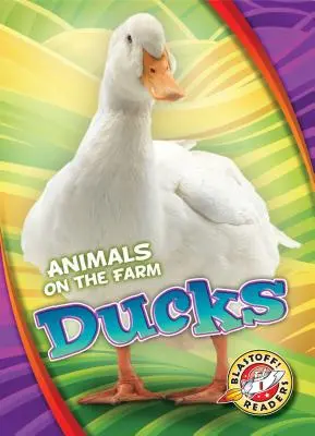 Anatre - Ducks