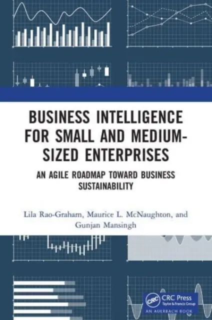 Business Intelligence per le piccole e medie imprese: Un percorso agile verso la sostenibilità aziendale - Business Intelligence for Small and Medium-Sized Enterprises: An Agile Roadmap Toward Business Sustainability