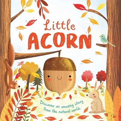 Storie di natura: Piccola ghianda: Libro di cartone imbottito - Nature Stories: Little Acorn: Padded Board Book