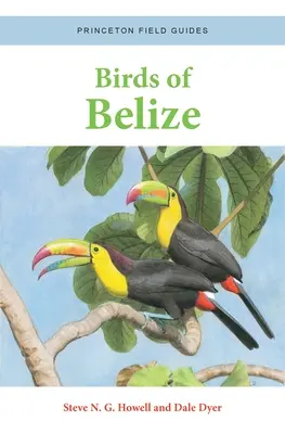Uccelli del Belize - Birds of Belize