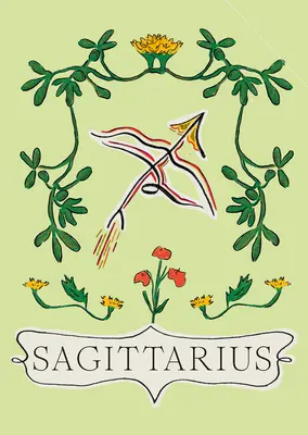 Sagittario - Sagittarius