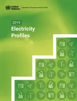 Profili elettrici 2019 - 2019 electricity profiles
