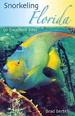 Snorkeling in Florida: 50 siti eccellenti - Snorkeling Florida: 50 Excellent Sites