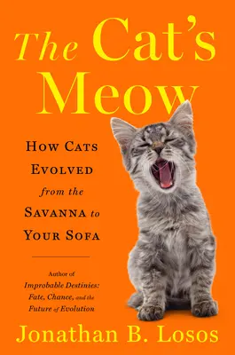 Il verso del gatto: Come si sono evoluti i gatti dalla savana al vostro divano - The Cat's Meow: How Cats Evolved from the Savanna to Your Sofa