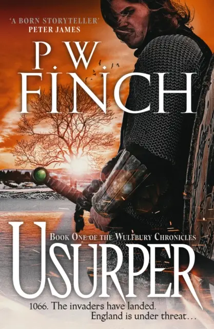 Usurpatore - un'epica avventura medievale - Usurper - an epic medieval adventure