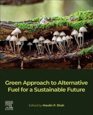 Approccio verde ai combustibili alternativi per un futuro sostenibile - Green Approach to Alternative Fuel for a Sustainable Future