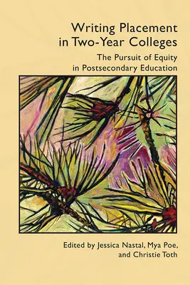 La scrittura nei college biennali: La ricerca dell'uguaglianza nell'istruzione post-secondaria - Writing Placement in Two-Year Colleges: The Pursuit of Equality in Postsecondary Education