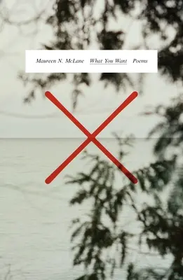 Quello che vuoi: Poesie - What You Want: Poems