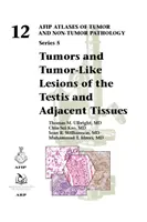 Tumori e lesioni simil-tumorali del testicolo e dei tessuti adiacenti - Tumors and Tumor-Like Lesions of the Testis and Adjacent Tissues