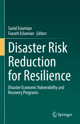 Riduzione del rischio di catastrofi per la resilienza: Vulnerabilità economica dei disastri e programmi di recupero - Disaster Risk Reduction for Resilience: Disaster Economic Vulnerability and Recovery Programs
