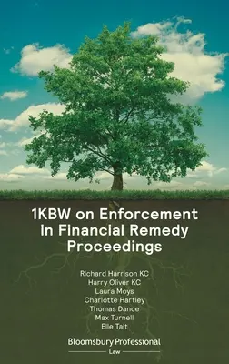 1kbw sull'esecuzione forzata nei procedimenti di riparazione finanziaria - 1kbw on Enforcement in Financial Remedy Proceedings
