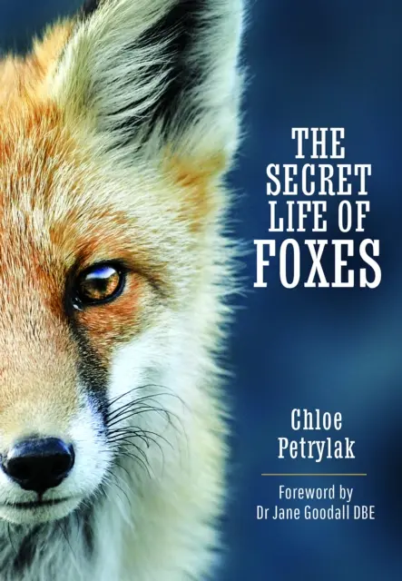 La vita segreta delle volpi - The Secret Life of Foxes