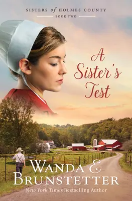 La prova di una sorella: Volume 2 - A Sister's Test: Volume 2