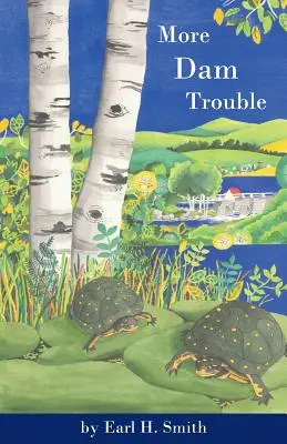 Altri problemi con la diga - More Dam Trouble