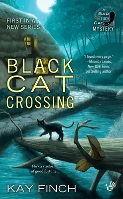 Il gatto nero che attraversa - Black Cat Crossing