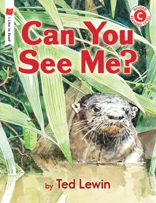 Riesci a vedermi? - Can You See Me?
