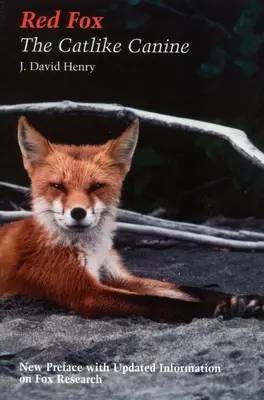 Volpe rossa - Il canide simile a un gatto - Red Fox - The Catlike Canine