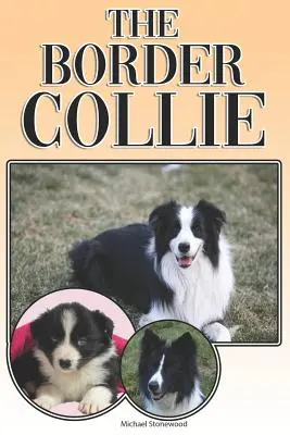 Il Border Collie: una guida completa ed esaustiva per il proprietario: Acquistare, possedere, salute, toelettatura, addestramento, obbedienza, comprensione e - The Border Collie: A Complete and Comprehensive Owners Guide To: Buying, Owning, Health, Grooming, Training, Obedience, Understanding and