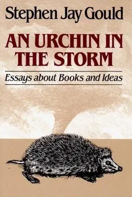 Riccio nella tempesta: Saggi su libri e idee - Urchin in the Storm: Essays about Books and Ideas