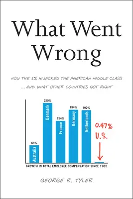 Cosa è stato sbagliato: come l'1% ha dirottato la classe media americana... e cosa hanno fatto di giusto altri Paesi - What Went Wrong: How the 1% Hijacked the American Middle Class... and What Other Countries Got Right