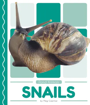 Lumache - Snails