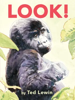 Guarda! - Look!