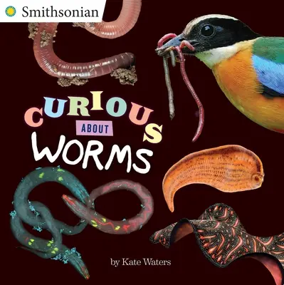Curiosità sui vermi - Curious about Worms