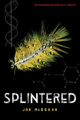 Scheggiato - Splintered