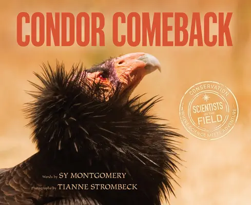 Il ritorno del condor - Condor Comeback