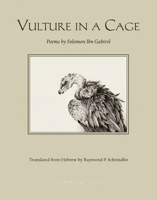 Avvoltoio in gabbia - Vulture in a Cage