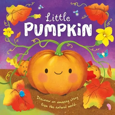 Storie di natura: Piccola zucca: Libro di cartone imbottito - Nature Stories: Little Pumpkin: Padded Board Book