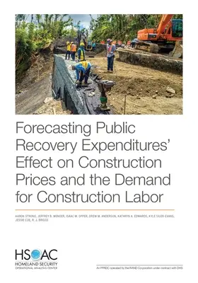 Previsione dell'effetto delle spese di recupero pubblico sui prezzi delle costruzioni e sulla domanda di manodopera edile - Forecasting Public Recovery Expenditures' Effect on Construction Prices and the Demand for Construction Labor