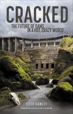 Cracked: Il futuro delle dighe in un mondo caldo e caotico - Cracked: The Future of Dams in a Hot, Chaotic World