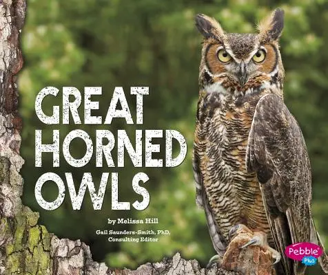 Gufi dalle grandi corna - Great Horned Owls