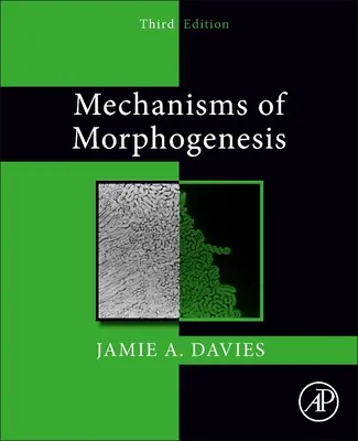 Meccanismi di morfogenesi - Mechanisms of Morphogenesis