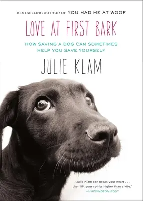 L'amore al primo abbaio: come salvare un cane a volte può aiutare a salvare se stessi - Love at First Bark: How Saving a Dog Can Sometimes Help You Save Yourself