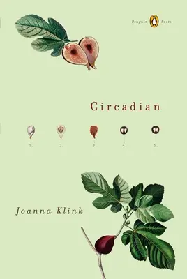 Circadiano - Circadian