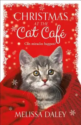Natale al Cat Caf - Christmas at the Cat Caf