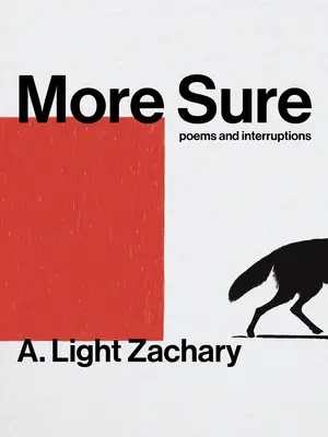 Più sicuro - More Sure