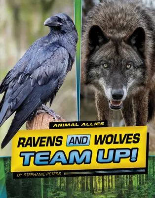 Corvi e lupi fanno squadra! - Ravens and Wolves Team Up!