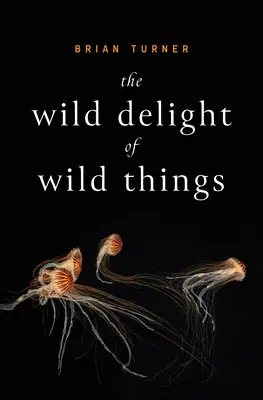 La delizia selvaggia delle cose selvagge - The Wild Delight of Wild Things