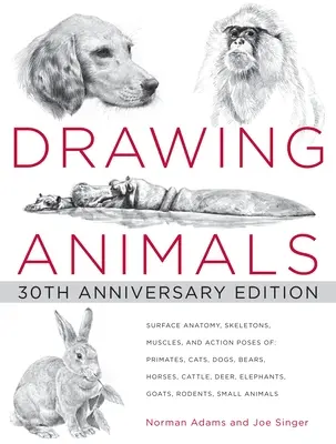 Disegnare gli animali: edizione del 30° anniversario - Drawing Animals: 30th Anniversary Edition