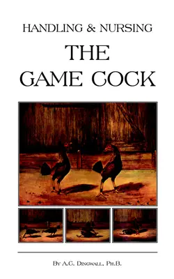 Maneggiare e curare il gallo da caccia (Serie Storia dei combattimenti di galli) - Handling and Nursing the Game Cock (History of Cockfighting Series)
