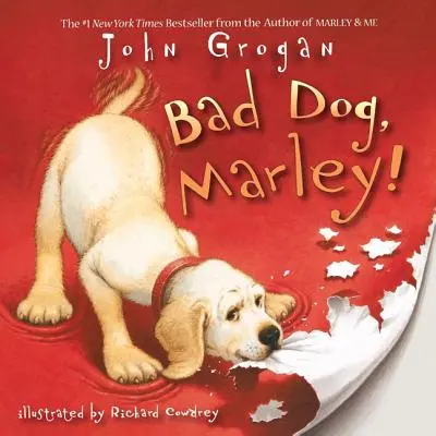 Cane cattivo, Marley! - Bad Dog, Marley!