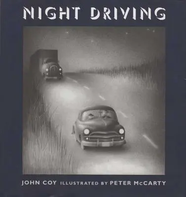 Guida notturna - Night Driving