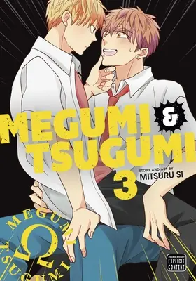 Megumi e Tsugumi, Vol. 3 - Megumi & Tsugumi, Vol. 3