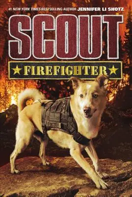Scout: Vigile del fuoco - Scout: Firefighter