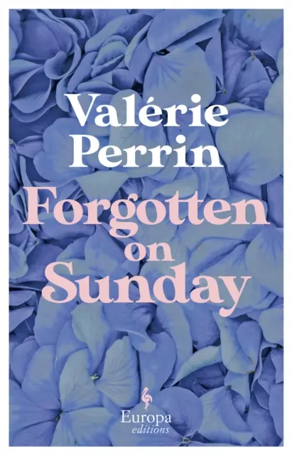 Forgotten on Sunday - Dall'autrice del bestseller da un milione di copie Acqua fresca per i fiori - Forgotten on Sunday - From the million copy bestselling author of Fresh Water for Flowers